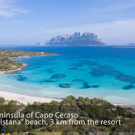 Capo Ceraso Family