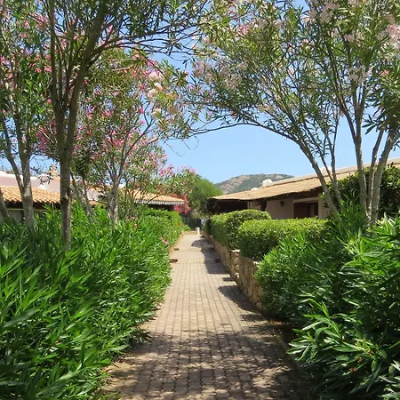 Capo Ceraso Family コスタ・コラッリナ