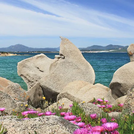 アパートホテル Capo Ceraso Family