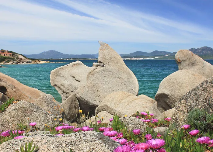 Apart-hotel Capo Ceraso Family